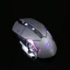 muis mouse