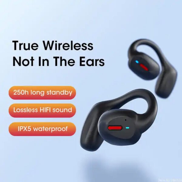 Earphones