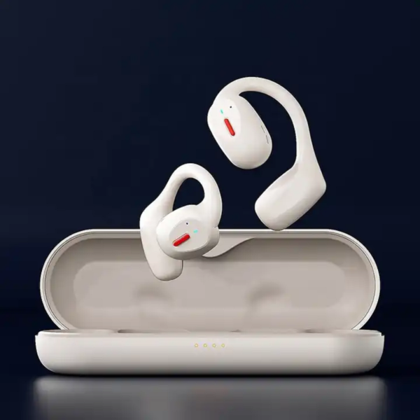 Earphones
