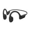 earphones